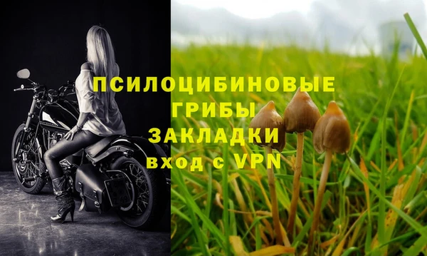 прущая мука Арсеньев