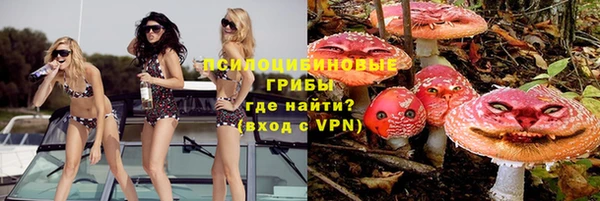 прущая мука Арсеньев
