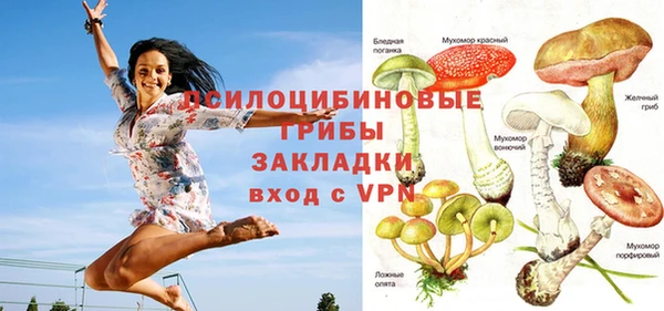 прущая мука Новодвинск