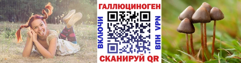 Псилоцибиновые грибы мухоморы  Онега 